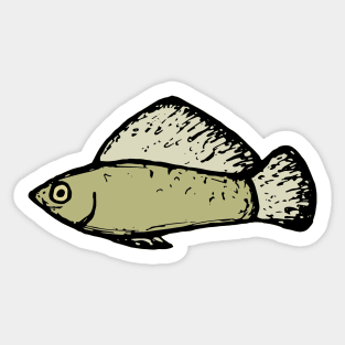 Sailfin Molly - freshwater aquarium fish Sticker